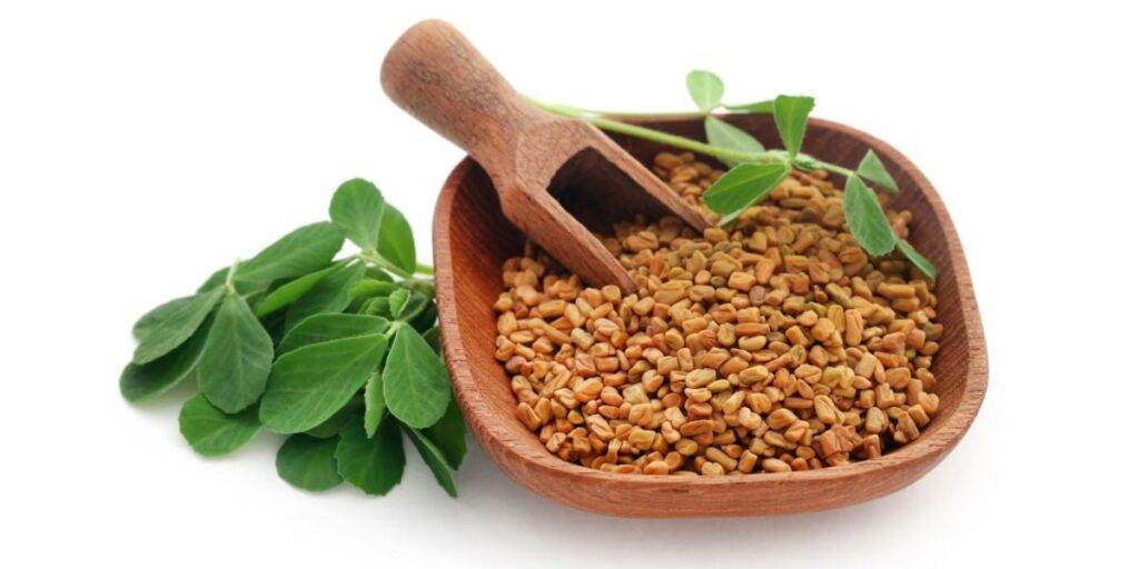 How Many Grams of Fenugreek do I Eat in a Day to Lower My Blood Sugar Levels