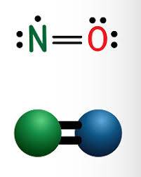 Could Nitric Oxide Be the Key to Unlocking a Diabetes Cure