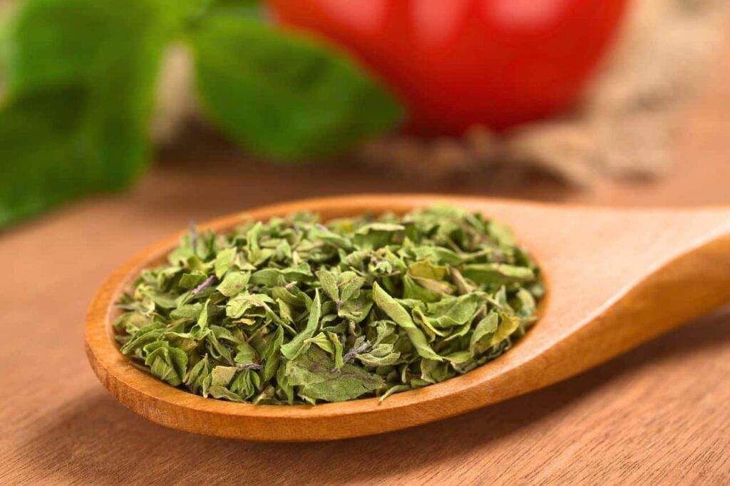 Is Oregano the Hidden Cure for Diabetes