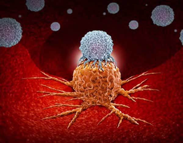 Are T-Cells the True Villains Behind Type 1 Diabetes