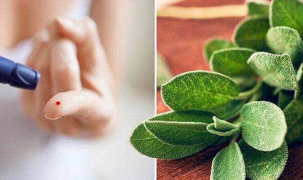 Sage for Type 2 Diabetes