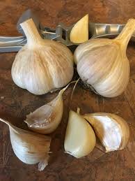 How I Eat Garlic to Control My Blood Sugar Levels