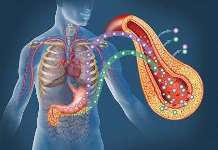 Role of Insulin Hormone in Type 1 Diabetes