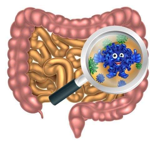 Is Dysbiosis the Missing Link in Type 1 Diabetes