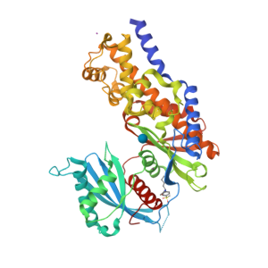 How Recessive Mutations in the GCK Gene Lead to Neonatal Diabetes