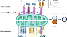 What is Neurodegeneration in Wolfram Syndrome