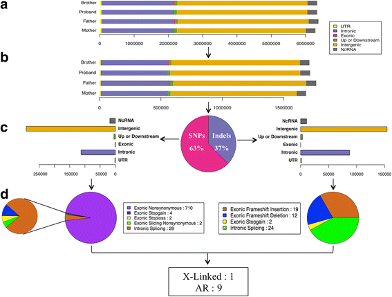 How ALMS1 Mutations Contribute to Insulin Resistance in Alström Syndrome