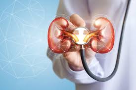 How Alström Syndrome Affects Kidney Function Over Time