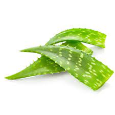 Top 3 Ways I Consume Aloe Vera to Treat My Type 2 Diabetes