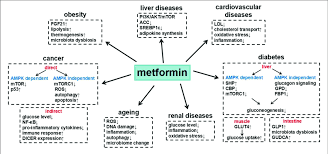 how to Store and Handle Metformin Liquid