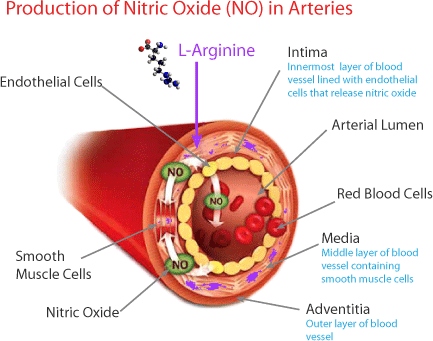 is nitric oxide the Future of Diabetes Treatment