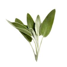 how to use sage to treat type 1 and type 2 diabetes naturally