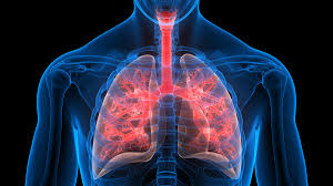 how Cystic Fibrosis Diabetes can adversely affect your normal life