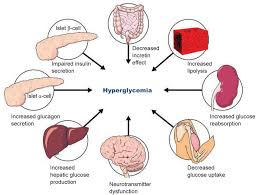 The Role of Hyperglycemia in Steroid Induced Diabetes