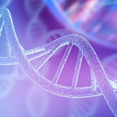 Wolfram Syndrome Type 1 vs. Type 2