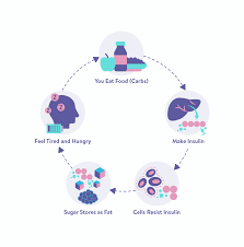 what is the The Role of Insulin Resistance in Type 2 Diabetes