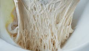 Is Gluten Really Affecting your Blood Sugar Control
