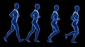 how to Combine Strength Training with Jogging for treating Type 2 Diabetes