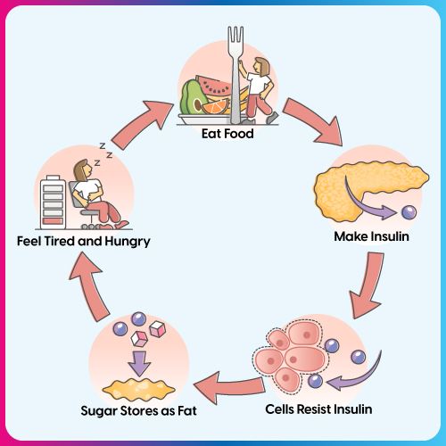 How insulin determines whether you would be a diabetic or not
