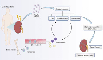 Cytokine Storms and Their Connection to Diabetes