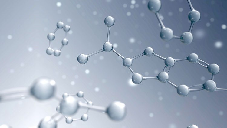 The Role of Cortisol in Gestational Insulin Resistance