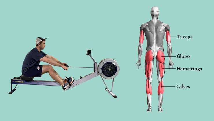 How to Start a Rowing Routine for Diabetes