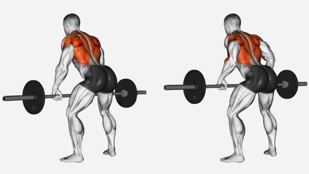 how bent over barbell rows reduce insulin spike and treat type 2 diabetes naturally