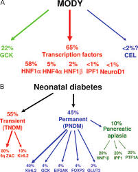 Mechanisms of Impaired Insulin Secretion Due to HNF1A Mutations