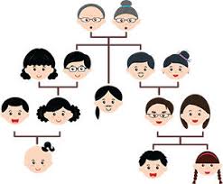 FAQs on MODY diabetes Based on Family History