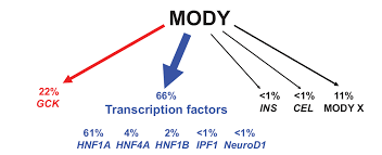 FAQs on HNF1A Mutations and MODY diabetes