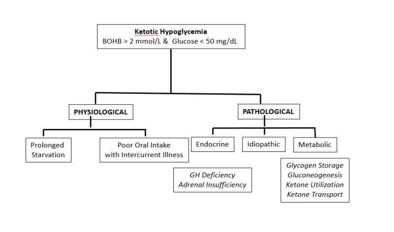 how and why autosomal dominant mutations cause neonatal diabetes