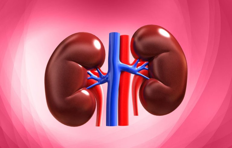 FAQs on Alström Syndrome and Kidney Function