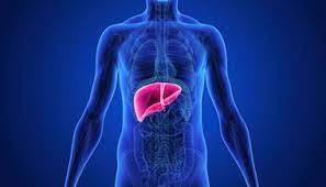 FAQs on Alström Syndrome and its Impact on Your Liver