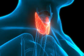 FAQs on Alström Syndrome and its impact on your Thyroid Functionality