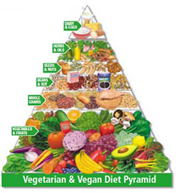 Vegetarian Diet Basics for Diabetes Control