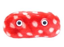 how much higher is type 1 diabetes risk in congenital rubella syndrome